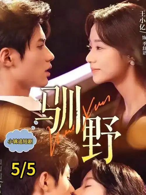 公诉 电视剧